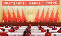 中国共产党上海市第十一届委员会第十三次全体会议通过决议 市第十二